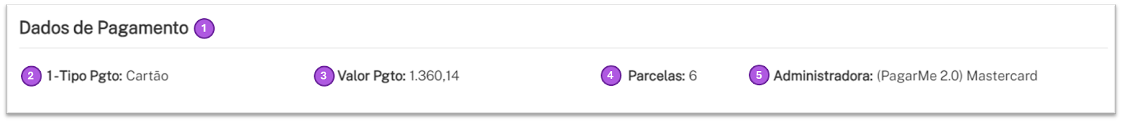 3 - Seção Dados de Pagamento.png